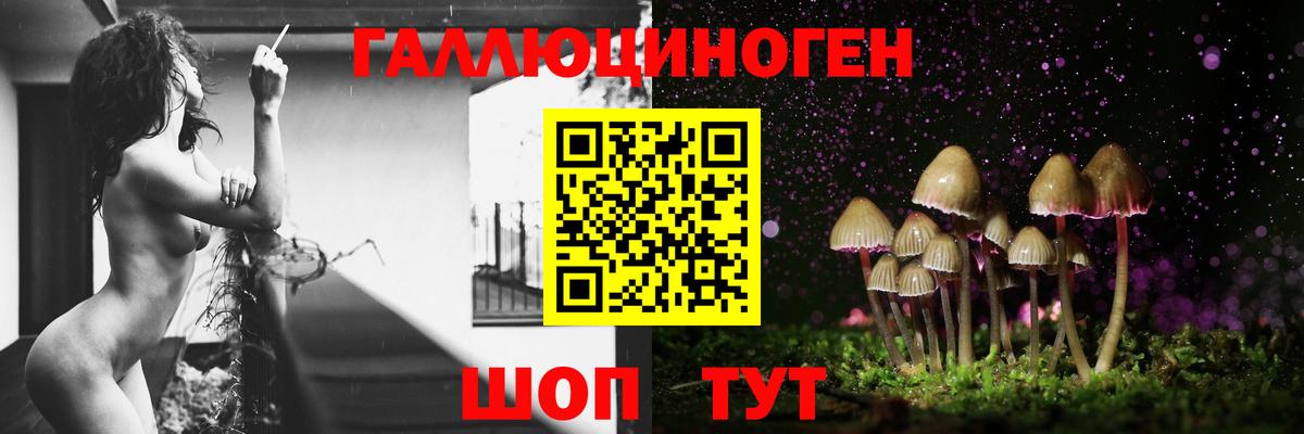 Зерноград  купить наркоту  Вход с VPN  Галлюциногенные грибы ЛСД  Галлюциногенные грибы Psilocybe 