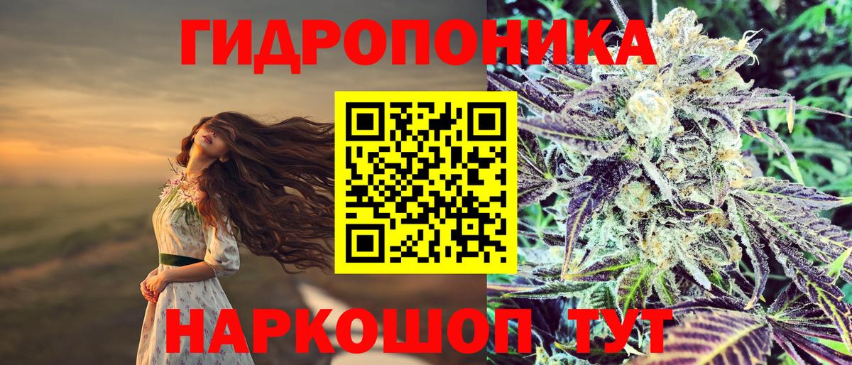 Канабис планчик  Конопля LSD WEED  Марихуана гибрид  Зерноград  Канабис гибрид  Вход с VPN 